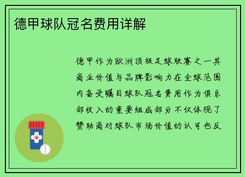 德甲球队冠名费用详解