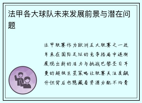 法甲各大球队未来发展前景与潜在问题